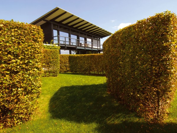 Boundless Garden